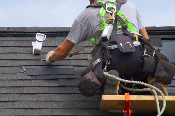 Best Roof Gutter Cleaning  in North Charleroi, PA
